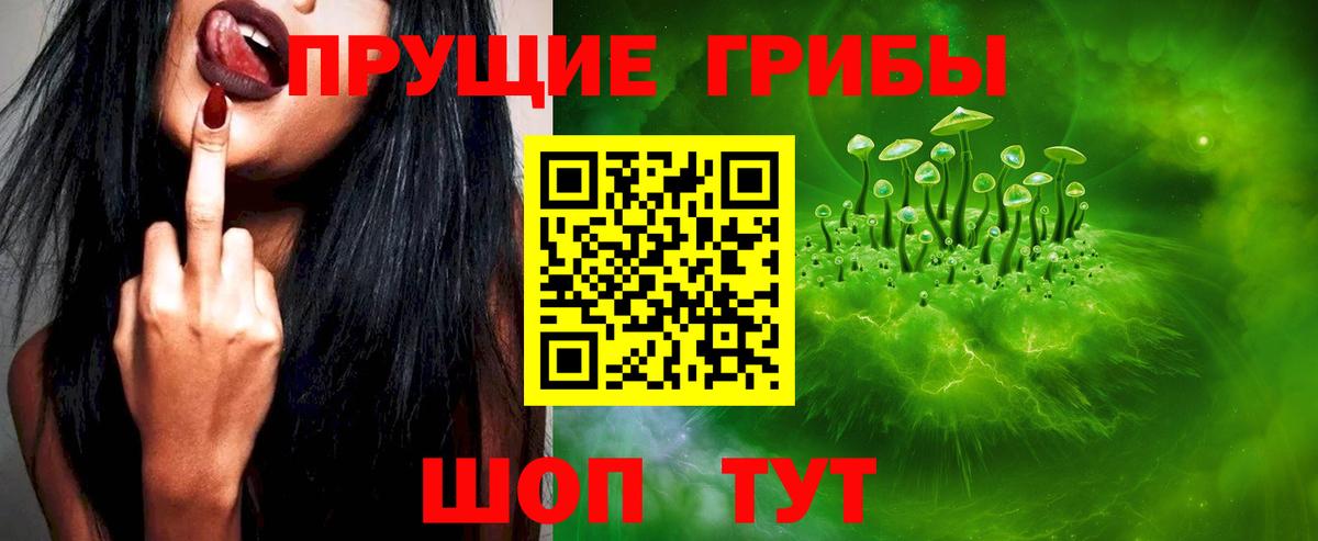 Галлюциногенные грибы Psilocybe  как найти   Вход с VPN  Валуйки  Псилоцибиновые грибы прущие грибы 